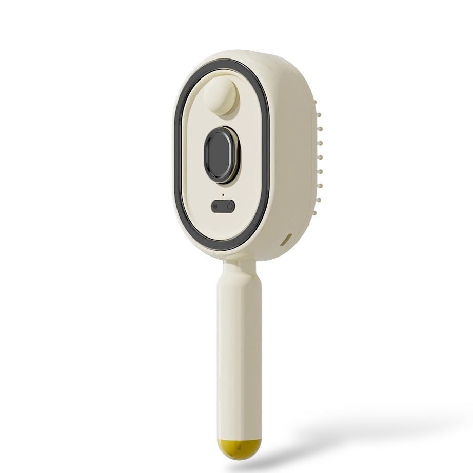 Steam Straightening Brush